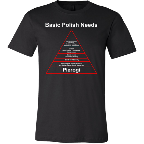 Basic Polish Needs Shirt - My Polish Heritage